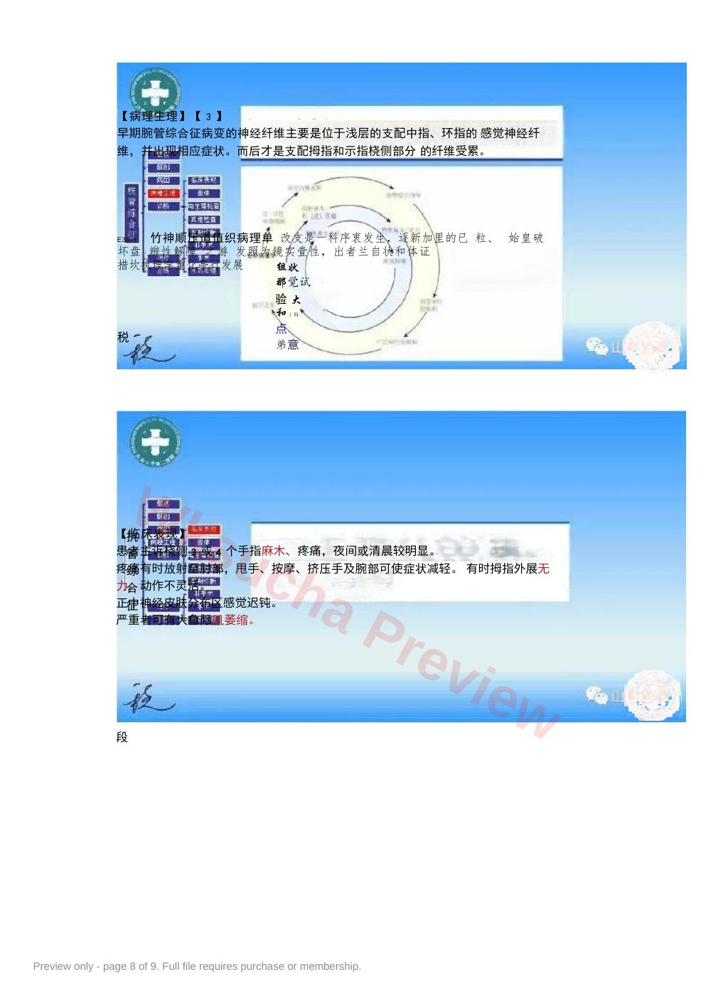 预览第 8 页