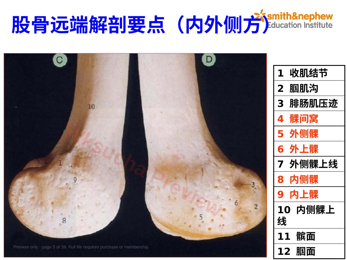 预览第 5 页