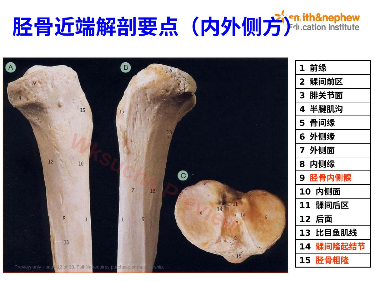 预览第 12 页