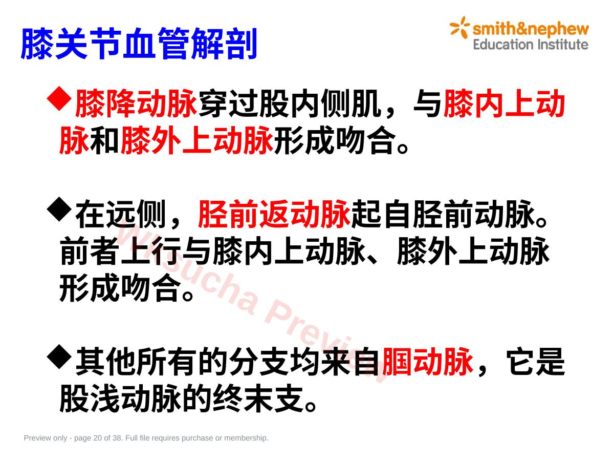 预览第 20 页