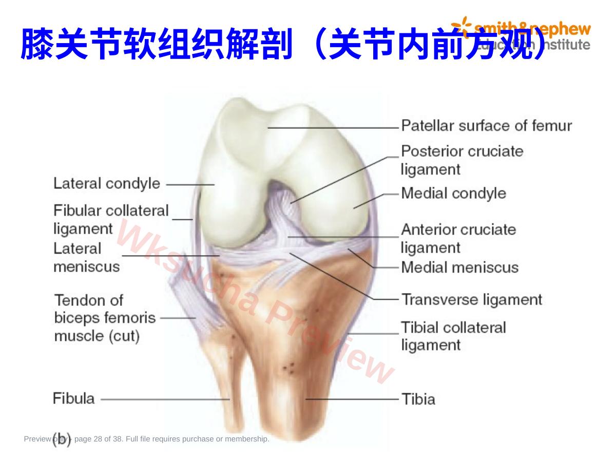 预览第 28 页