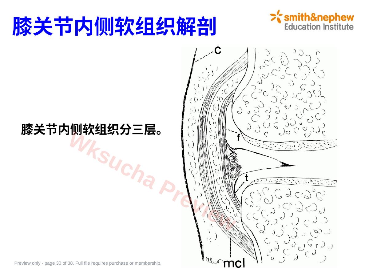 预览第 30 页