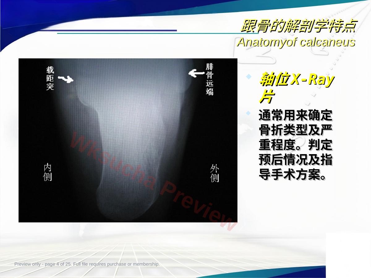 预览第 4 页