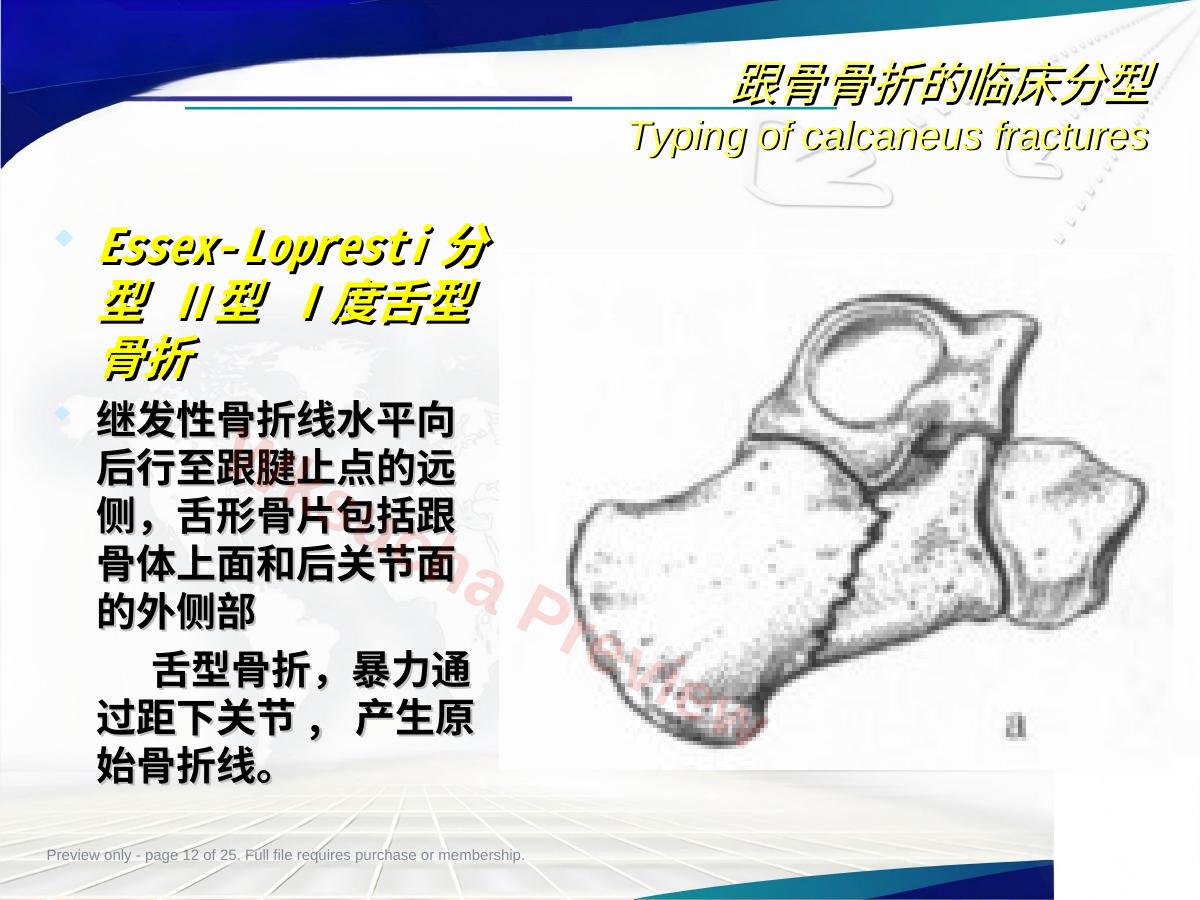 预览第 12 页