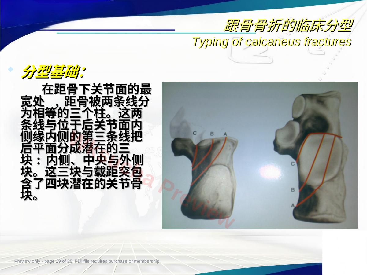 预览第 19 页