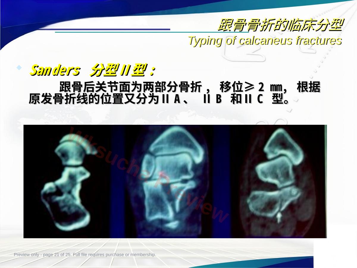 预览第 21 页