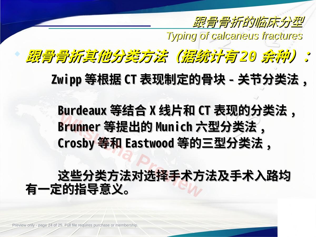 预览第 24 页