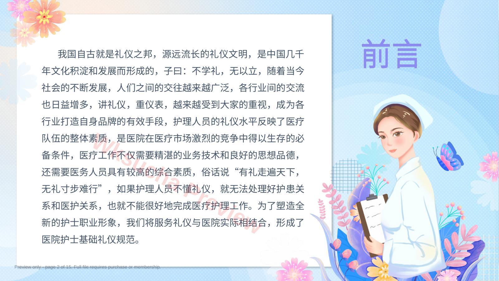 预览第 2 页