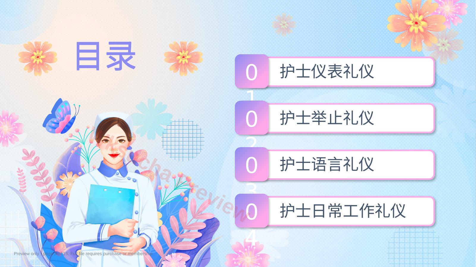预览第 3 页