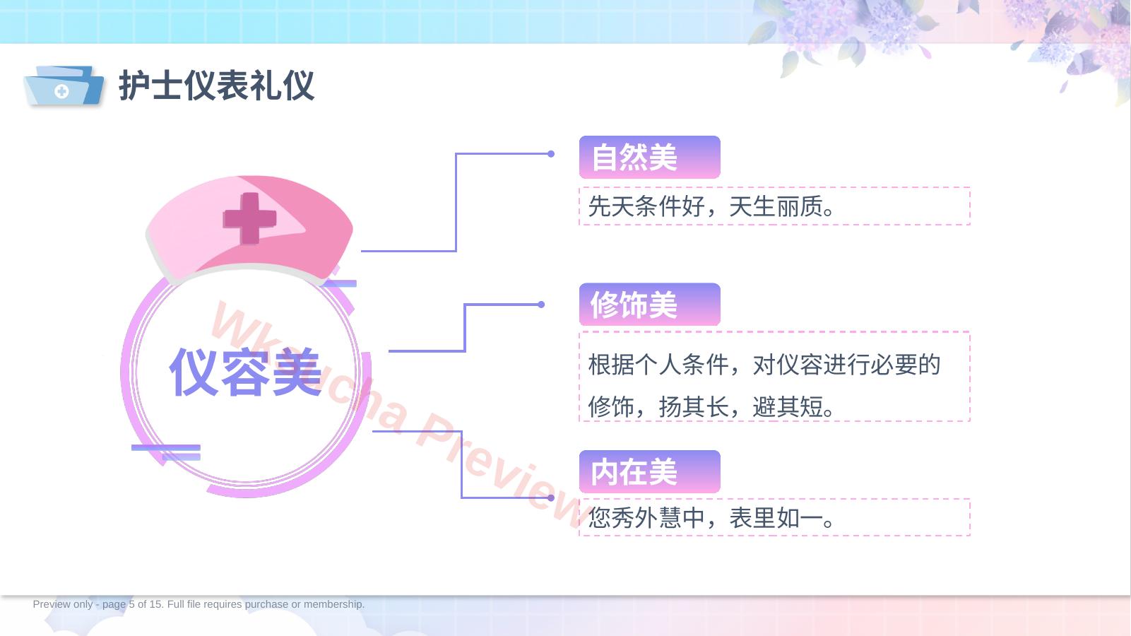 预览第 5 页