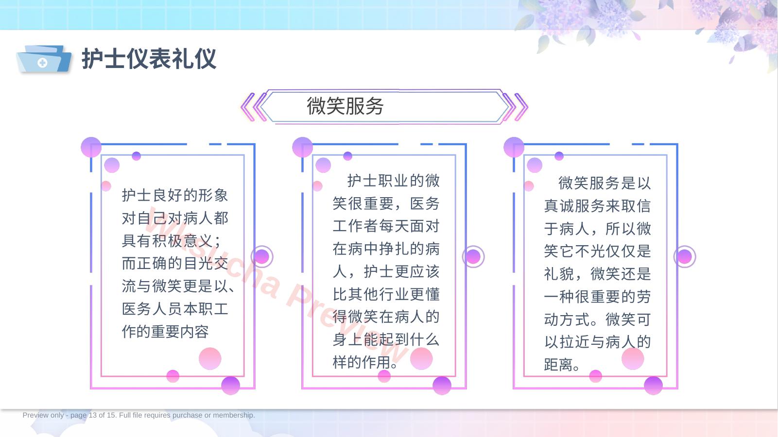 预览第 13 页
