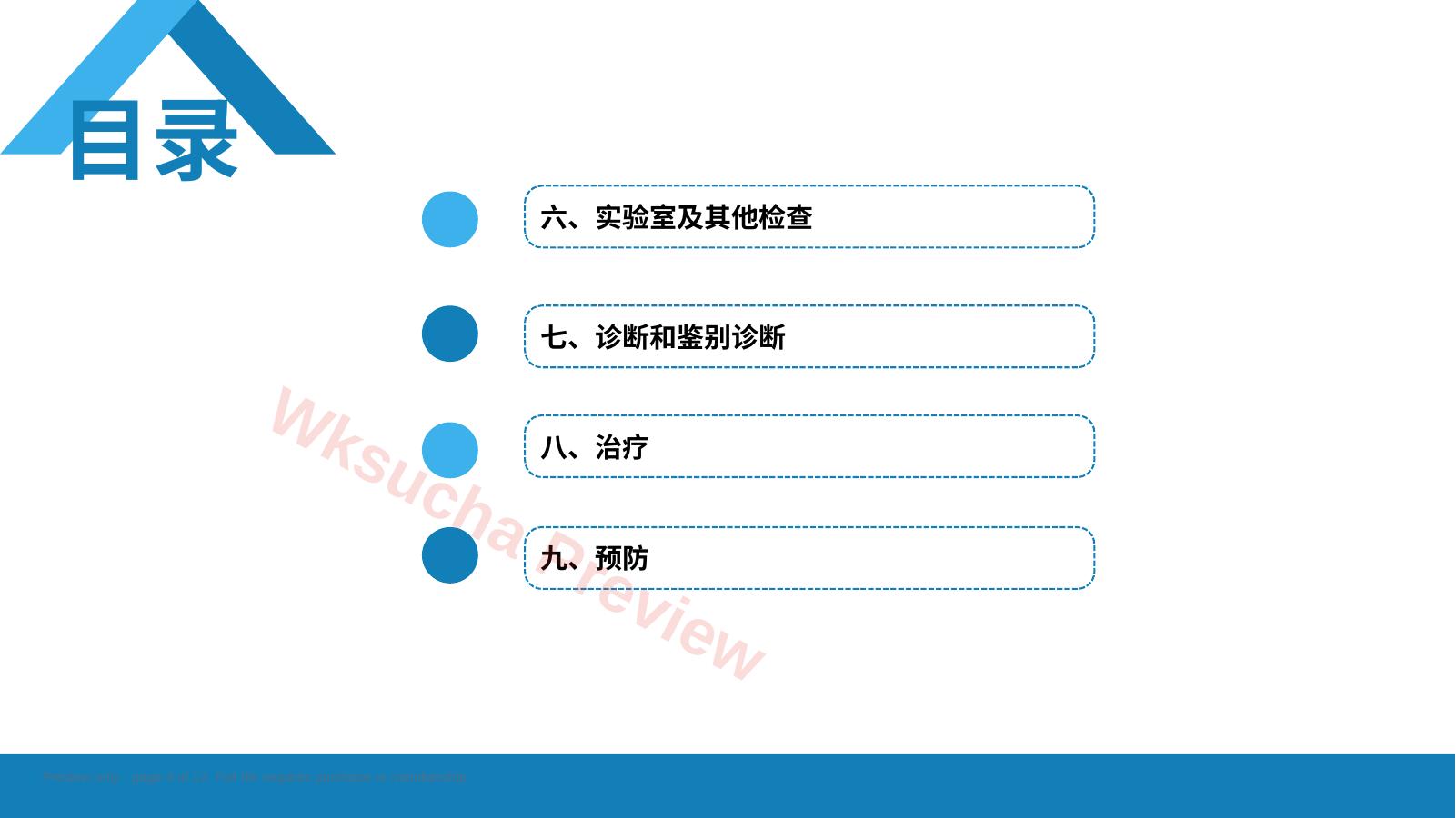 预览第 4 页