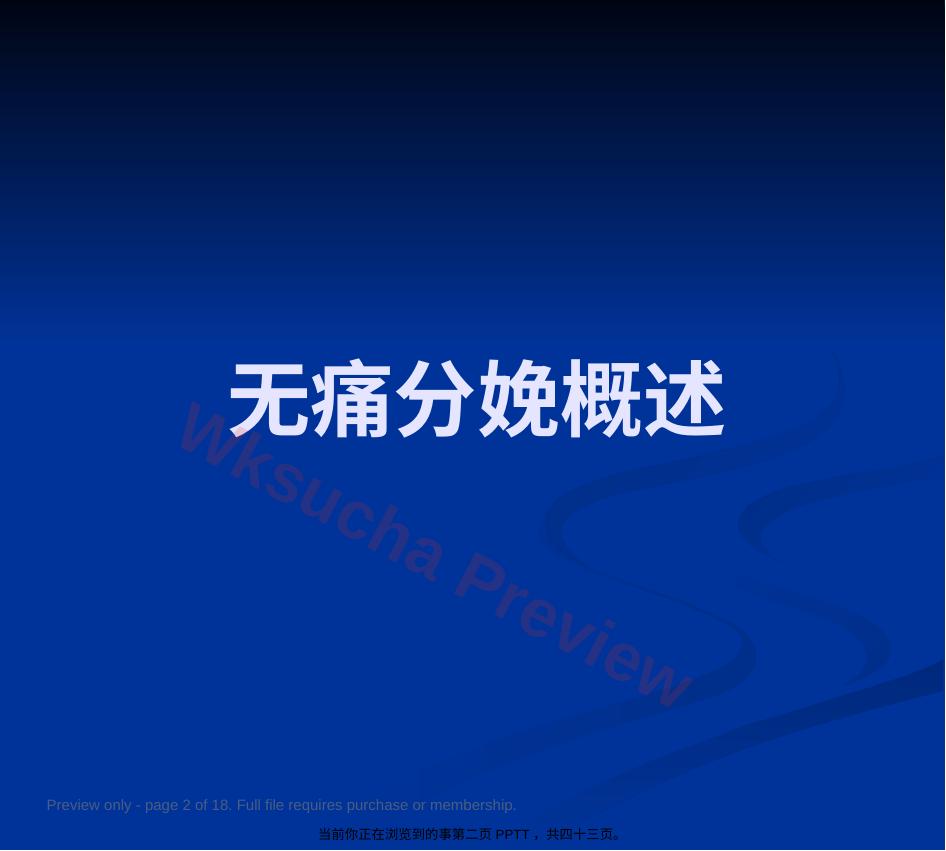 预览第 2 页