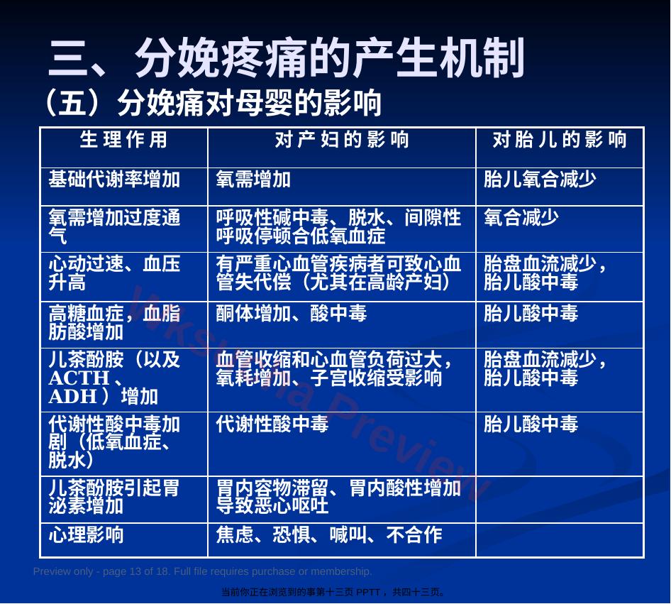 预览第 13 页