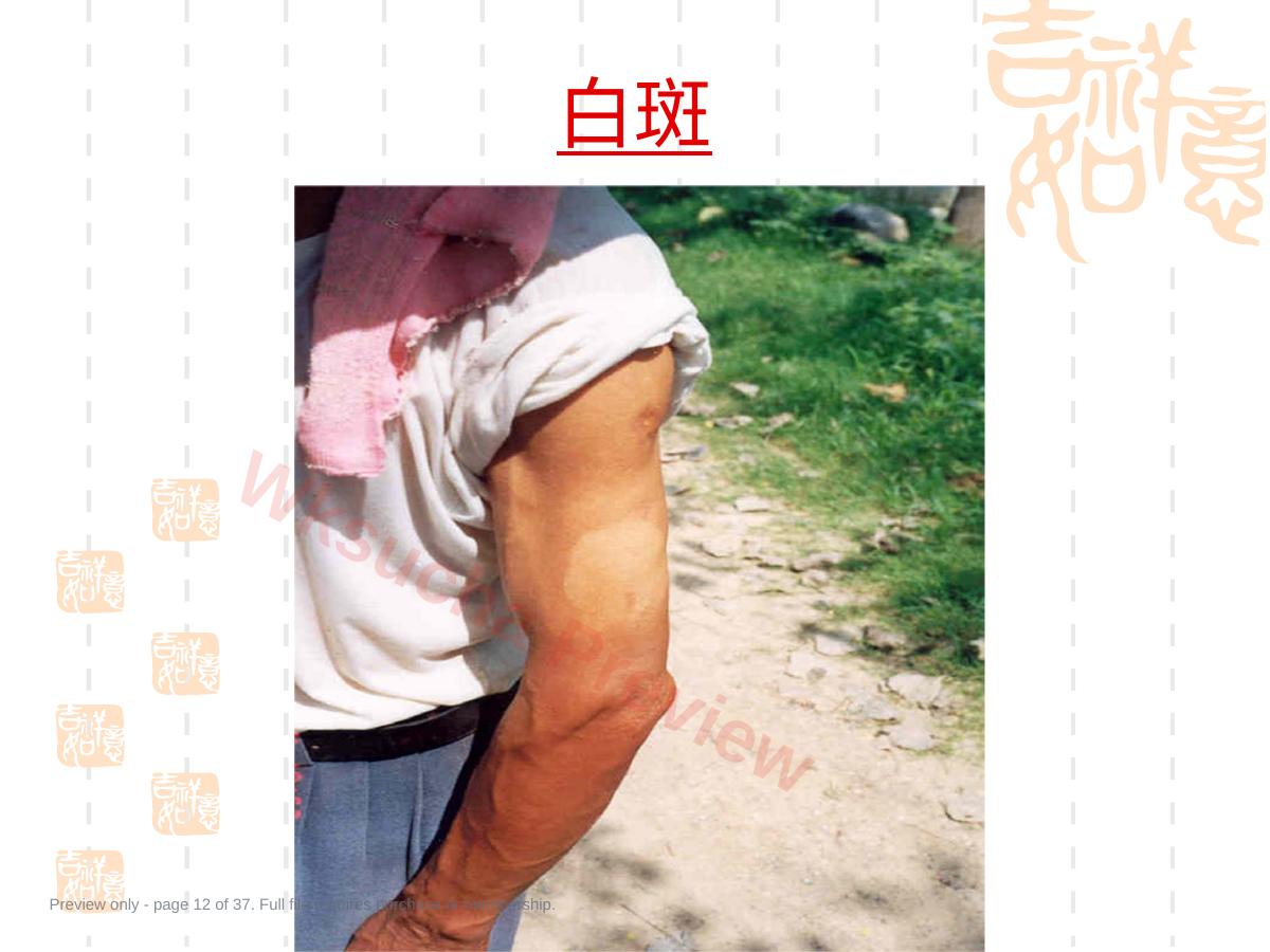 预览第 12 页