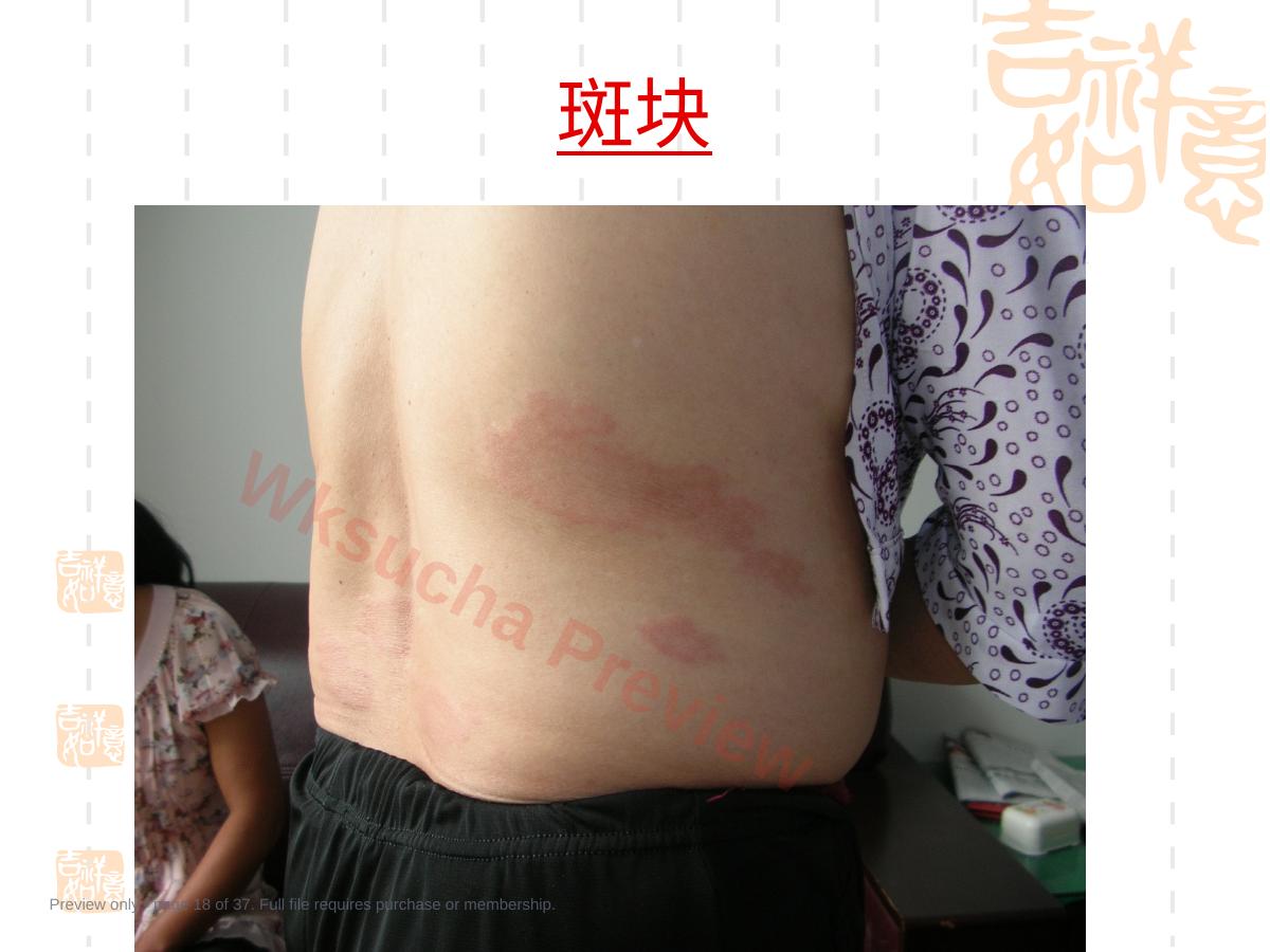 预览第 18 页