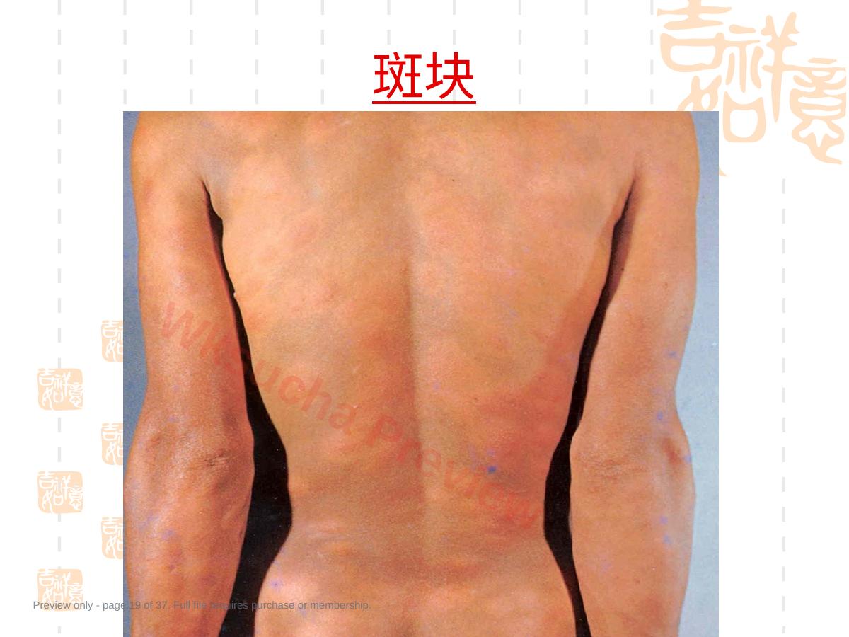 预览第 19 页