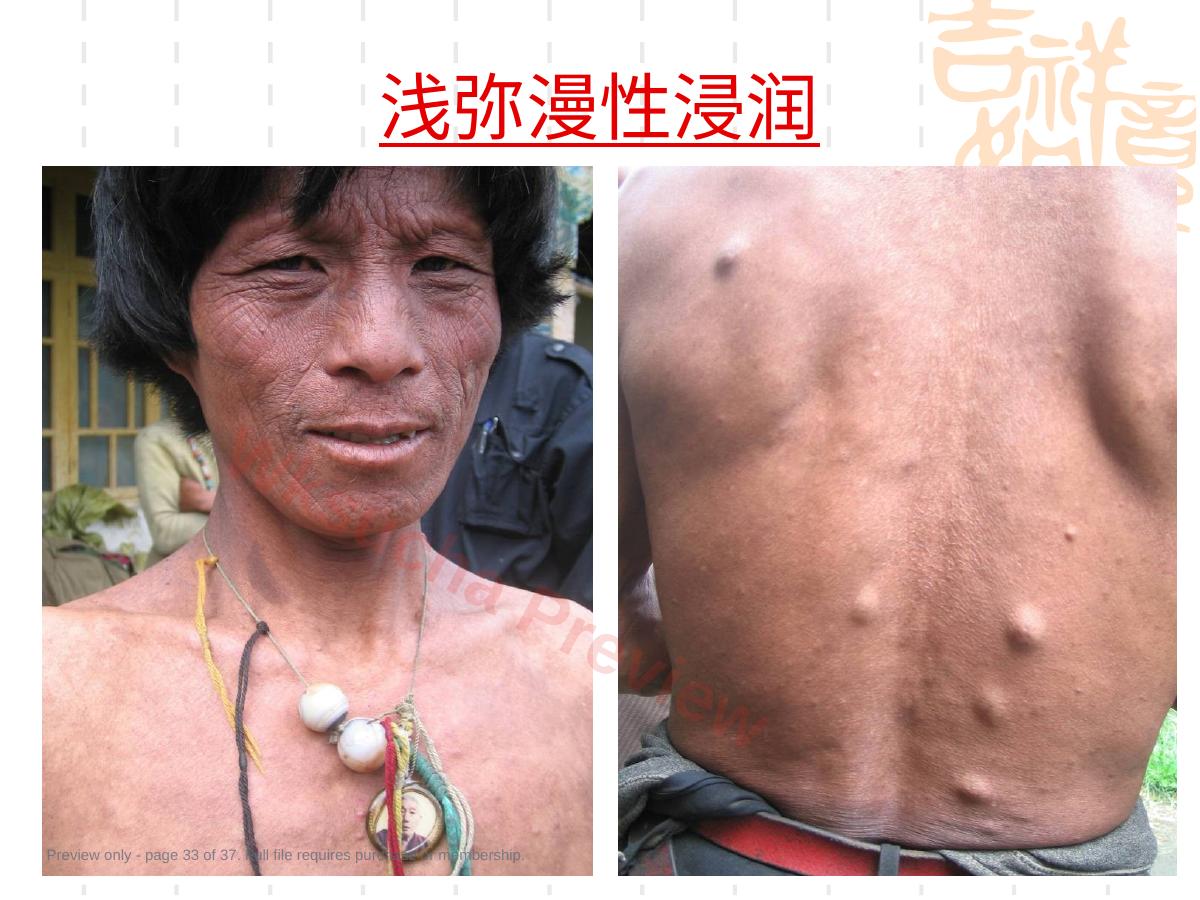 预览第 33 页