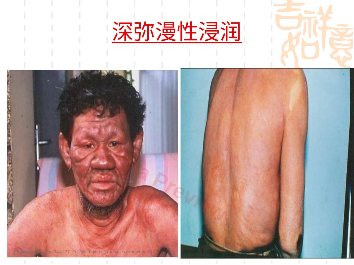 预览第 34 页