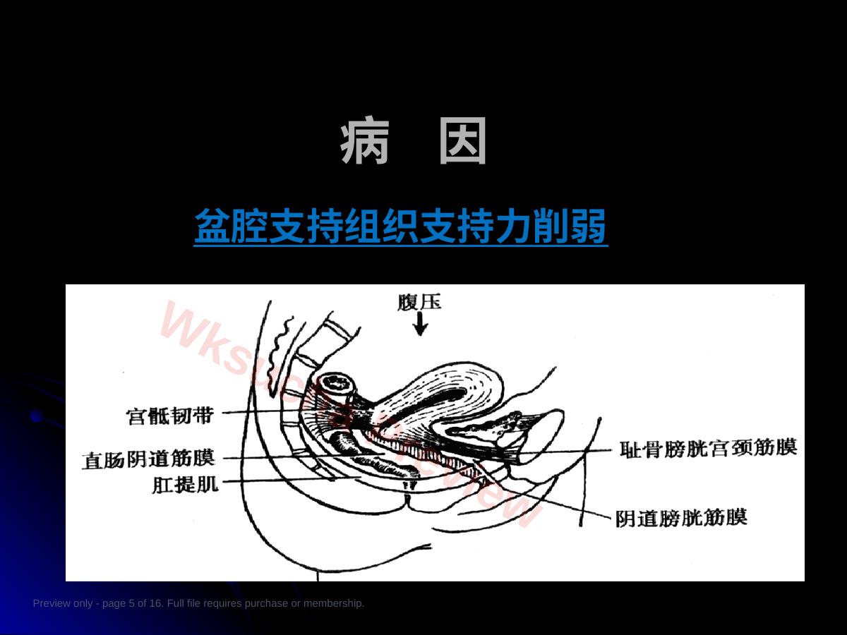预览第 5 页