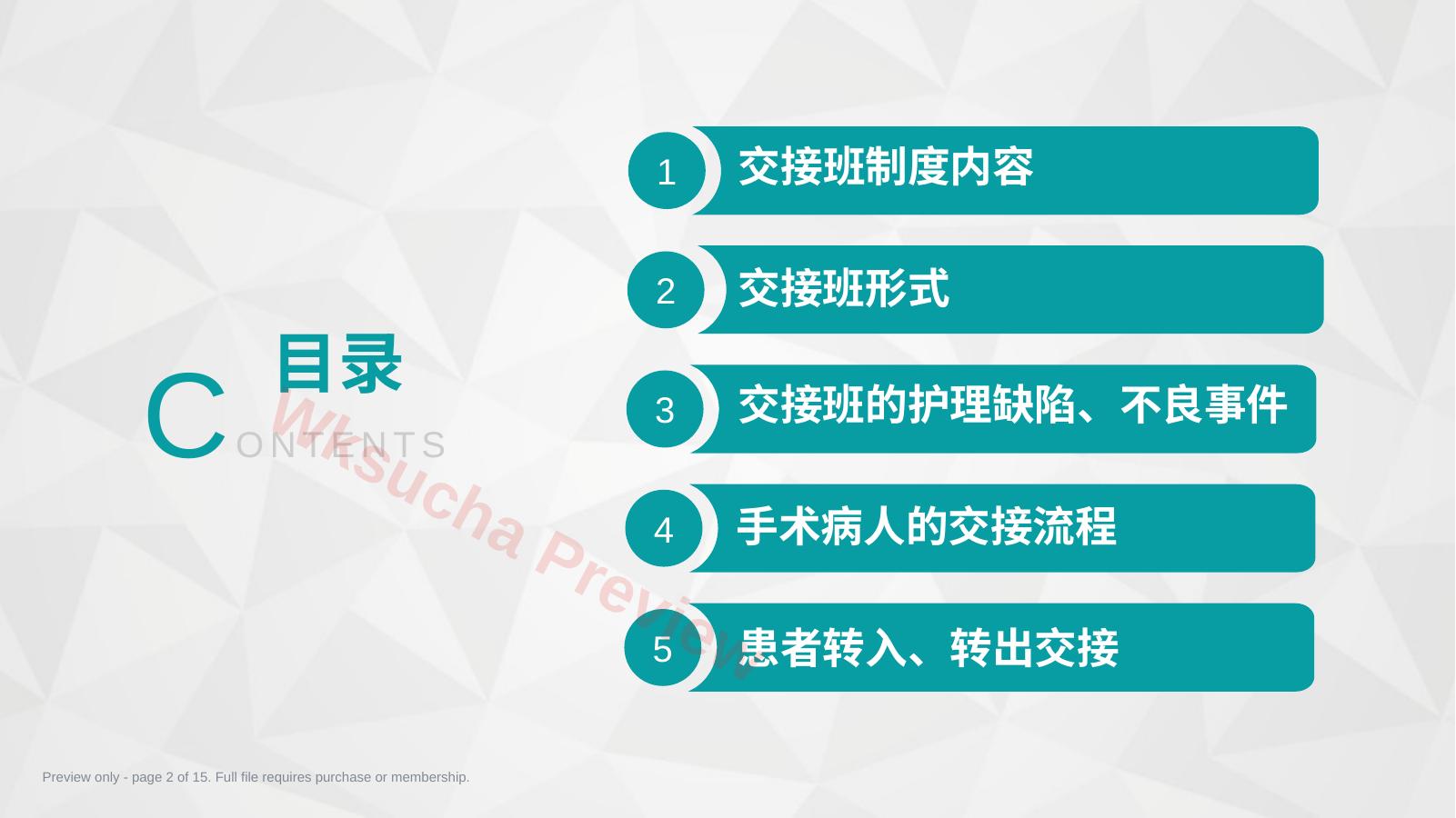 预览第 2 页