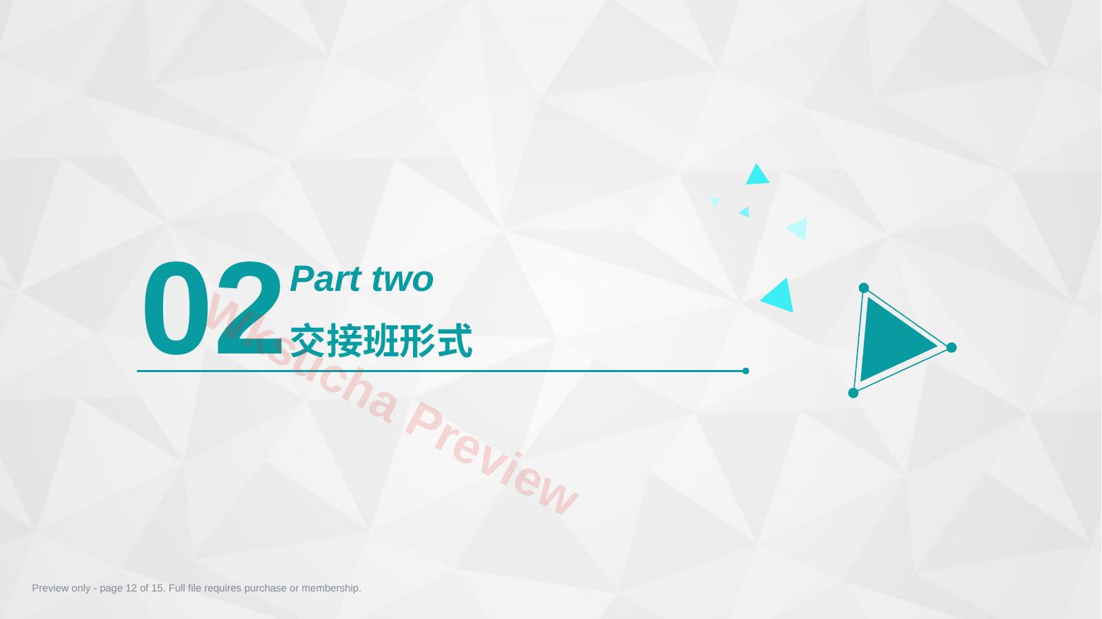 预览第 12 页