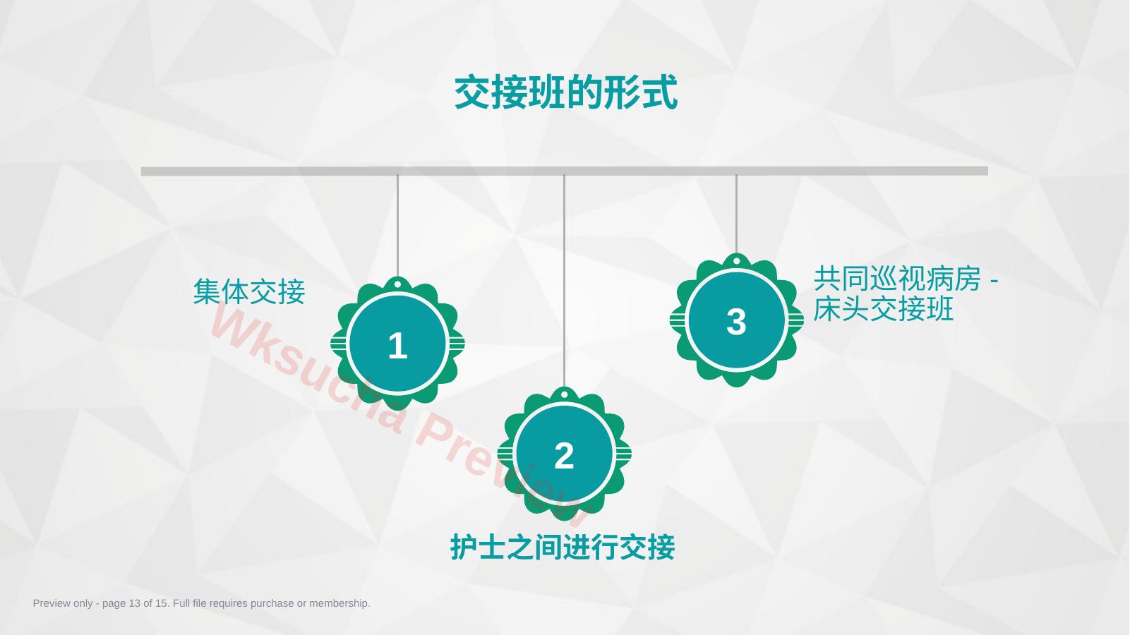 预览第 13 页