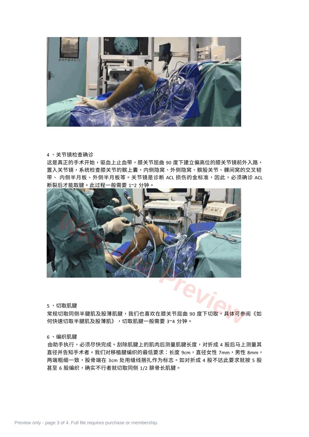 预览第 3 页
