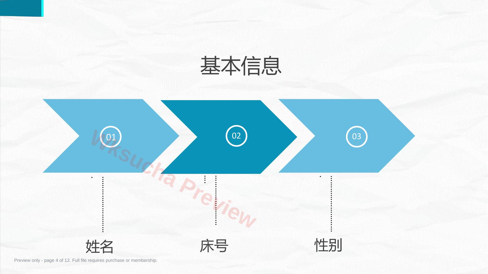 预览第 4 页