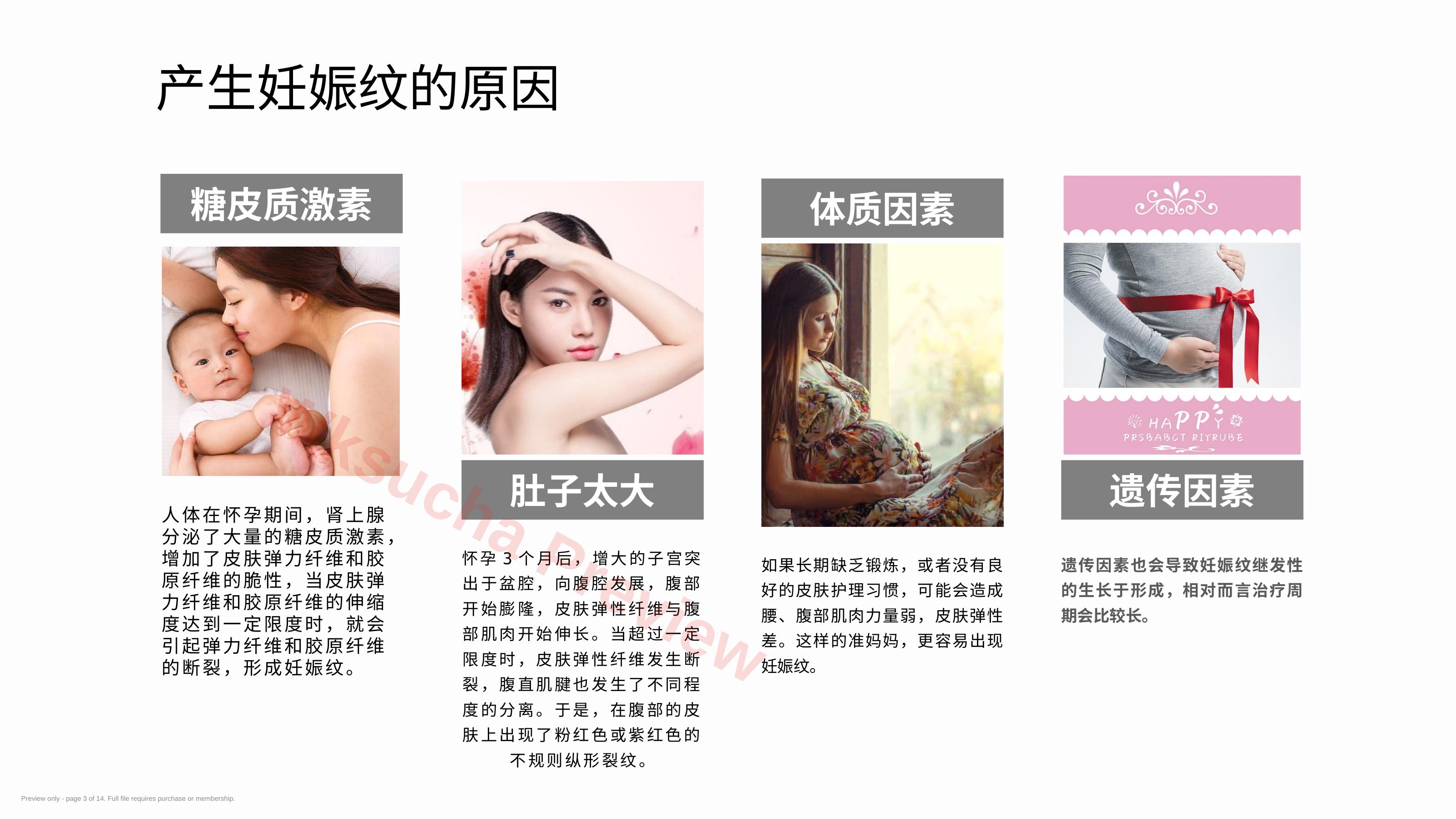 预览第 3 页