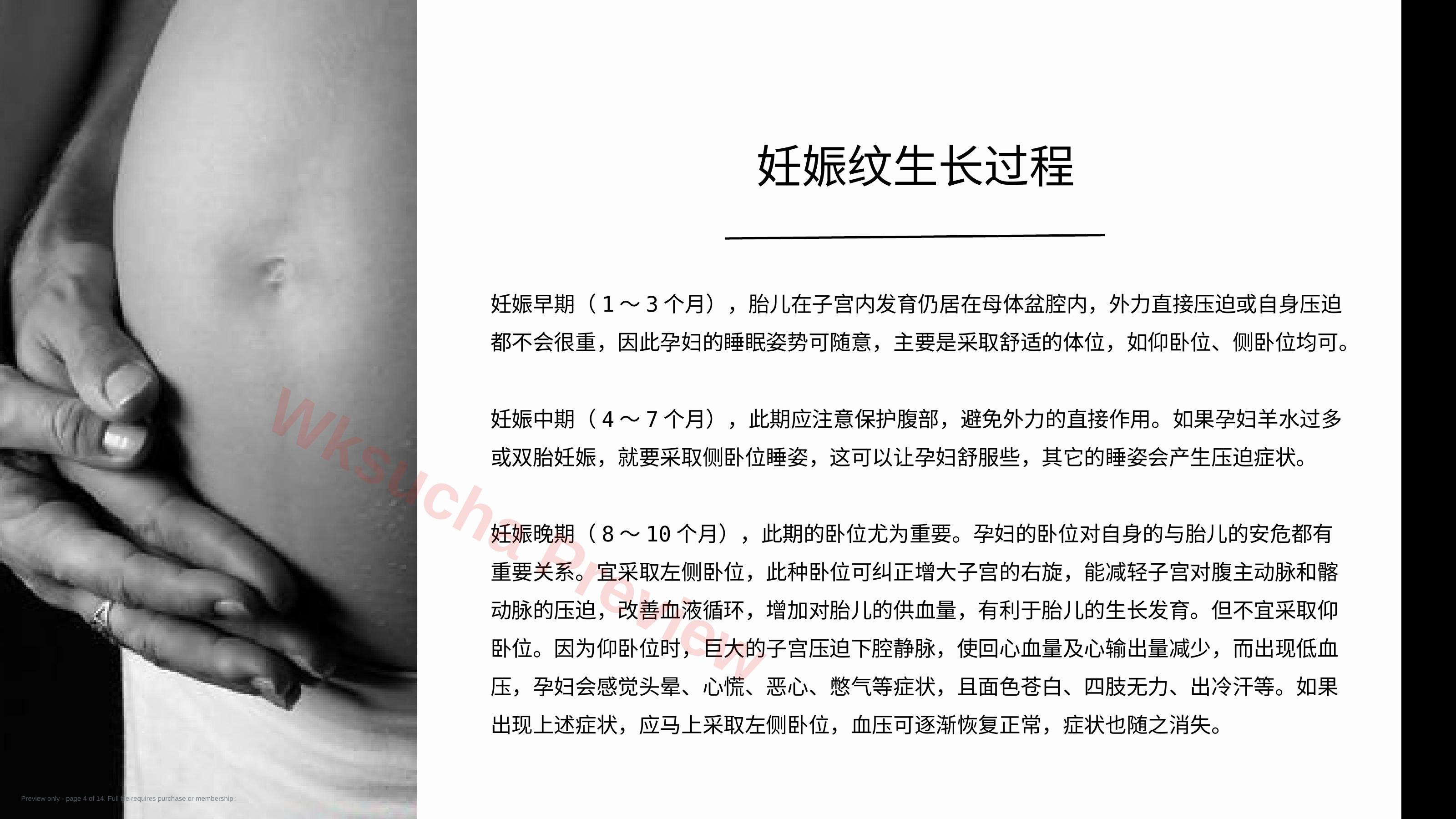 预览第 4 页