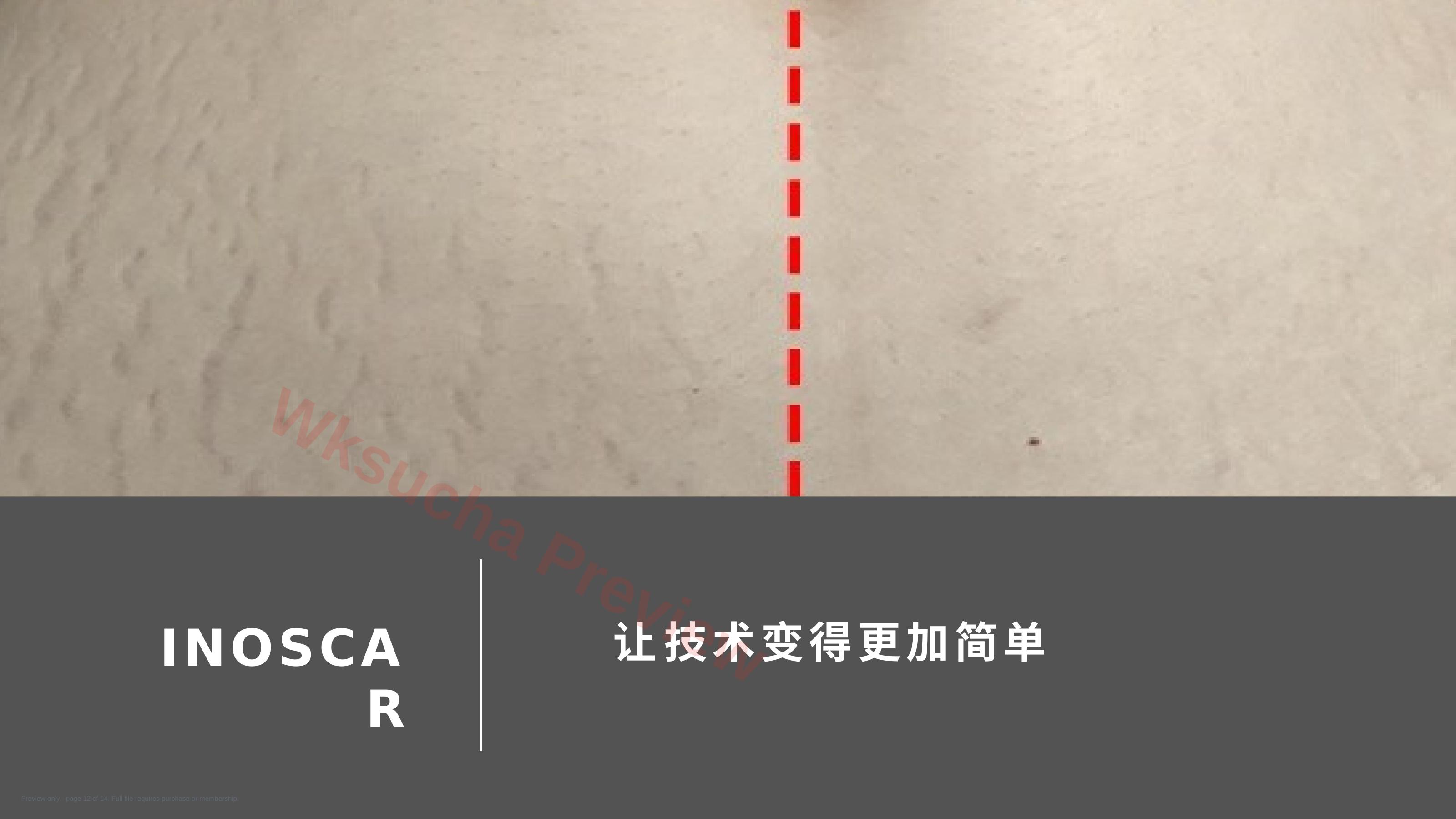 预览第 12 页