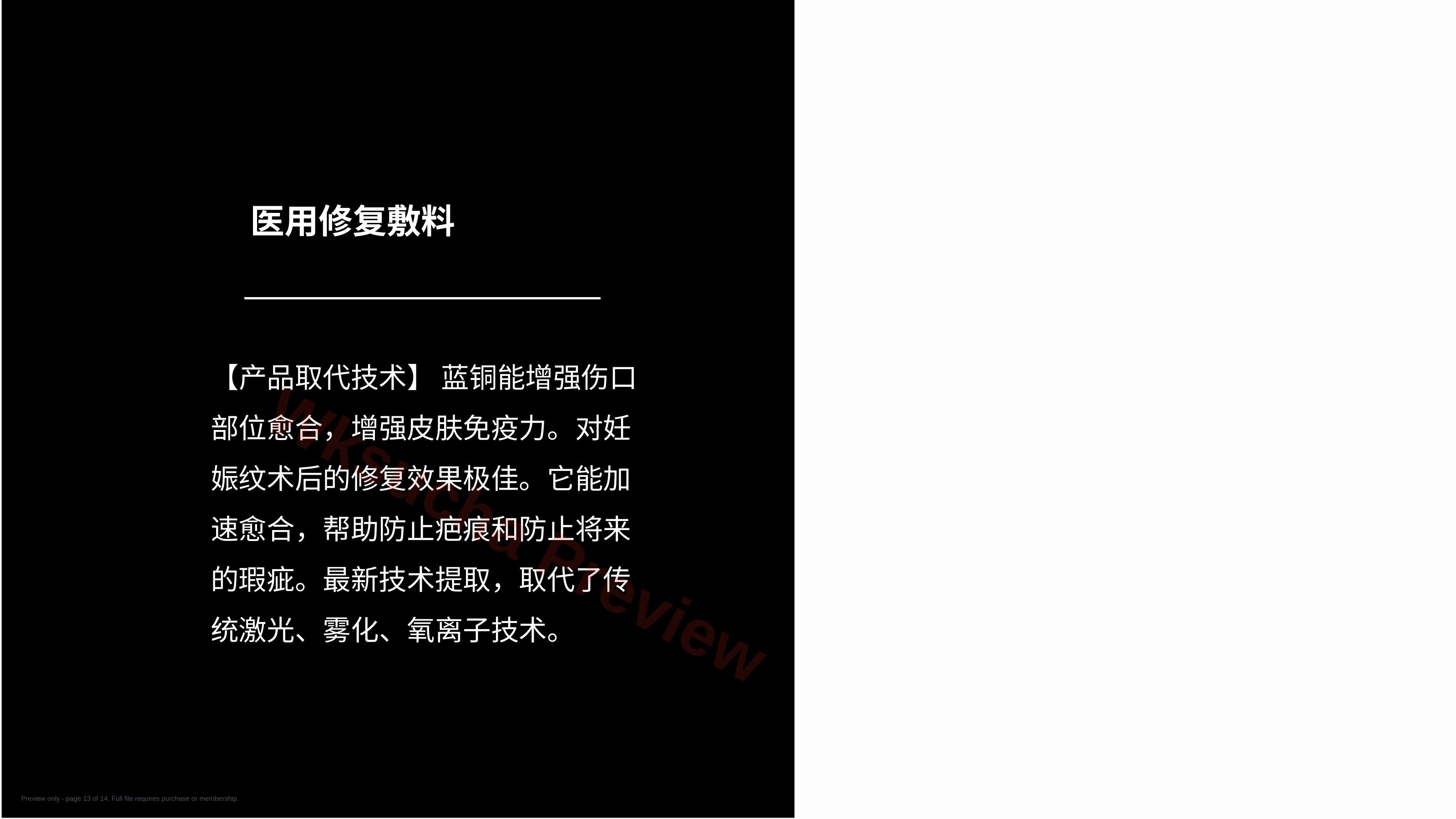 预览第 13 页