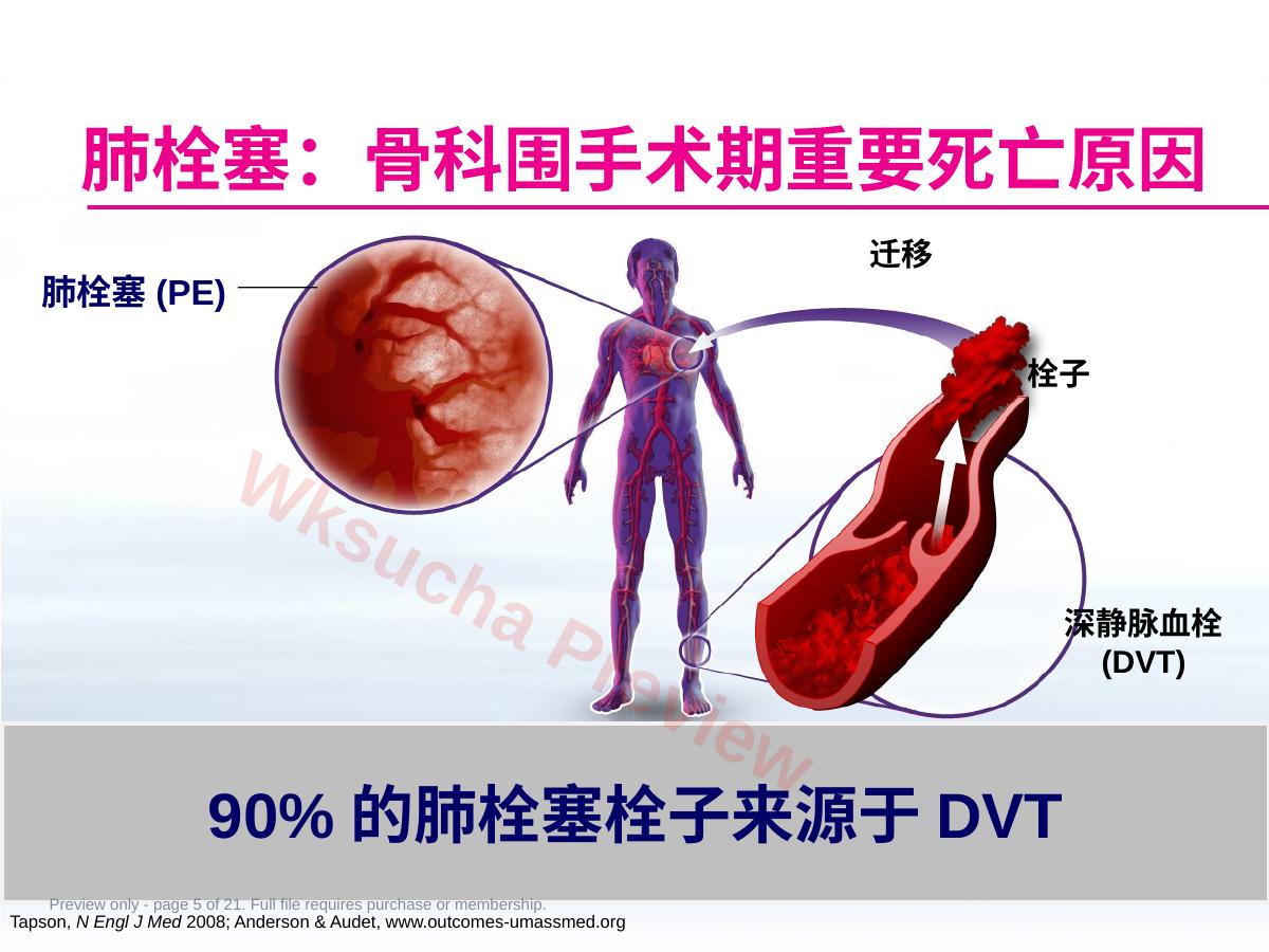 预览第 5 页