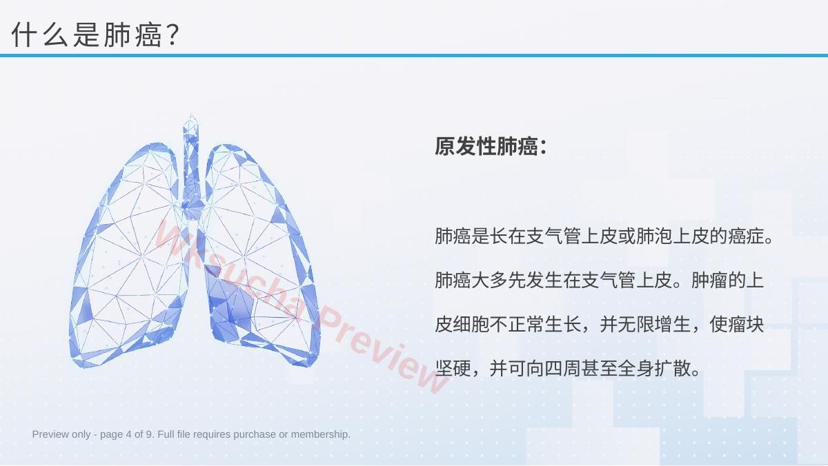 预览第 4 页