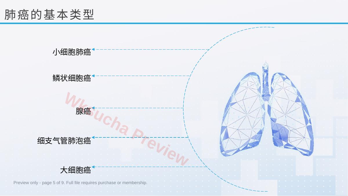 预览第 5 页
