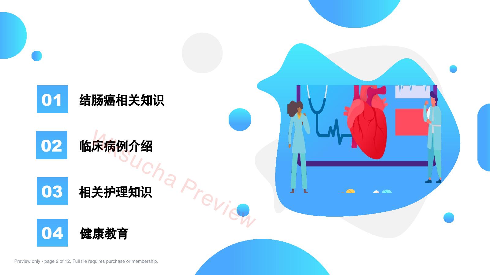 预览第 2 页