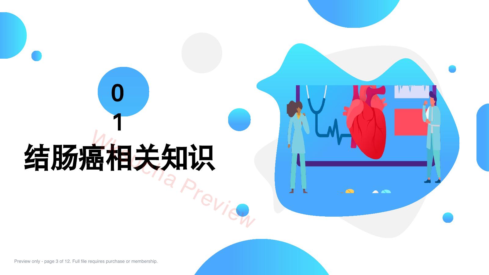 预览第 3 页