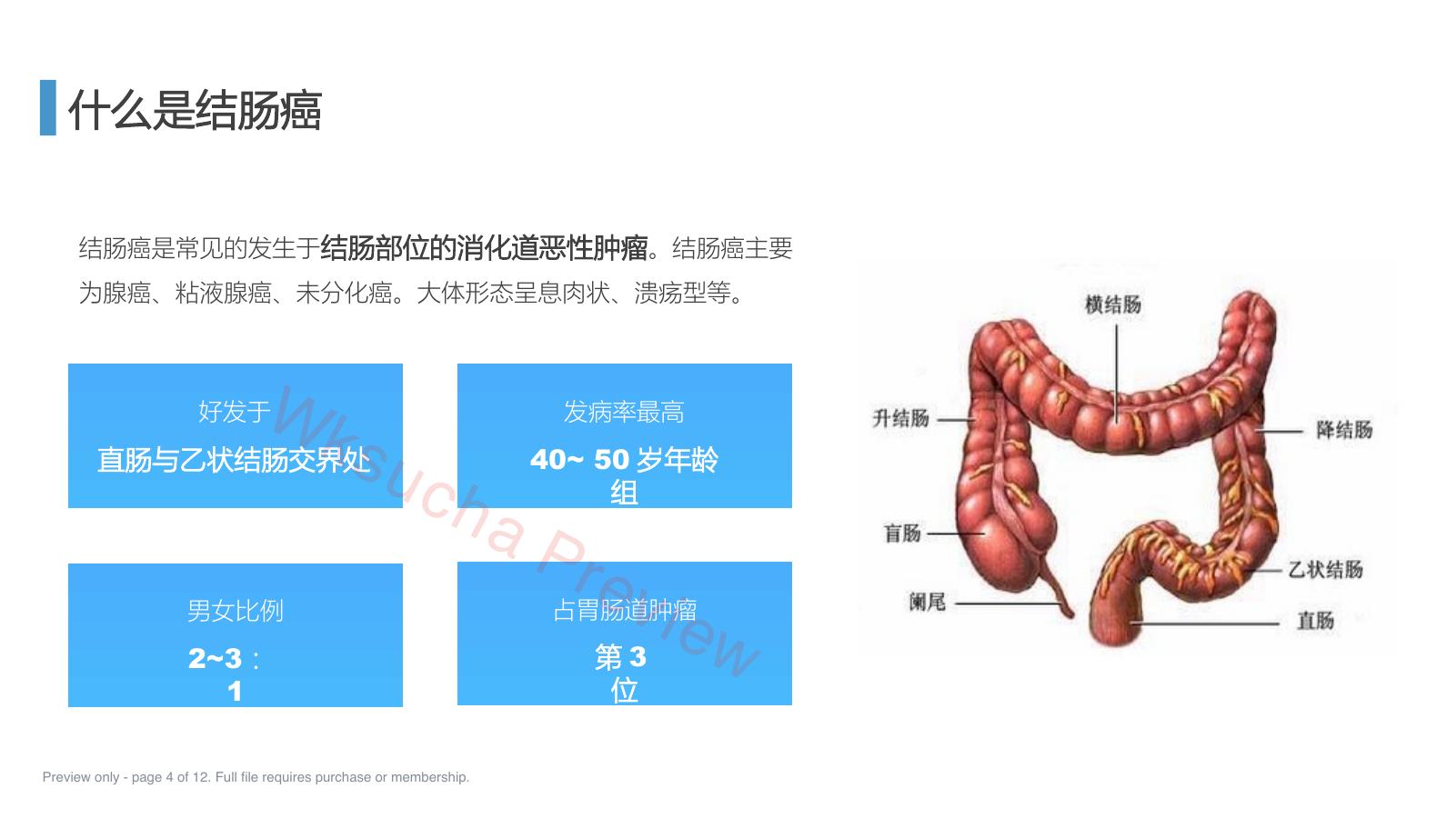 预览第 4 页