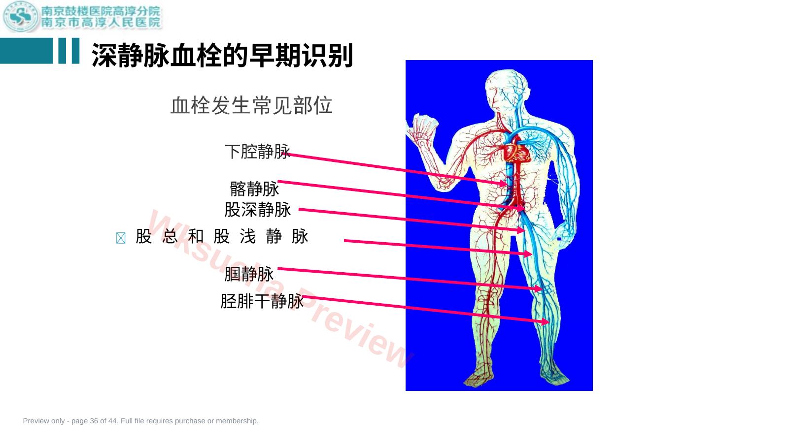 预览第 36 页