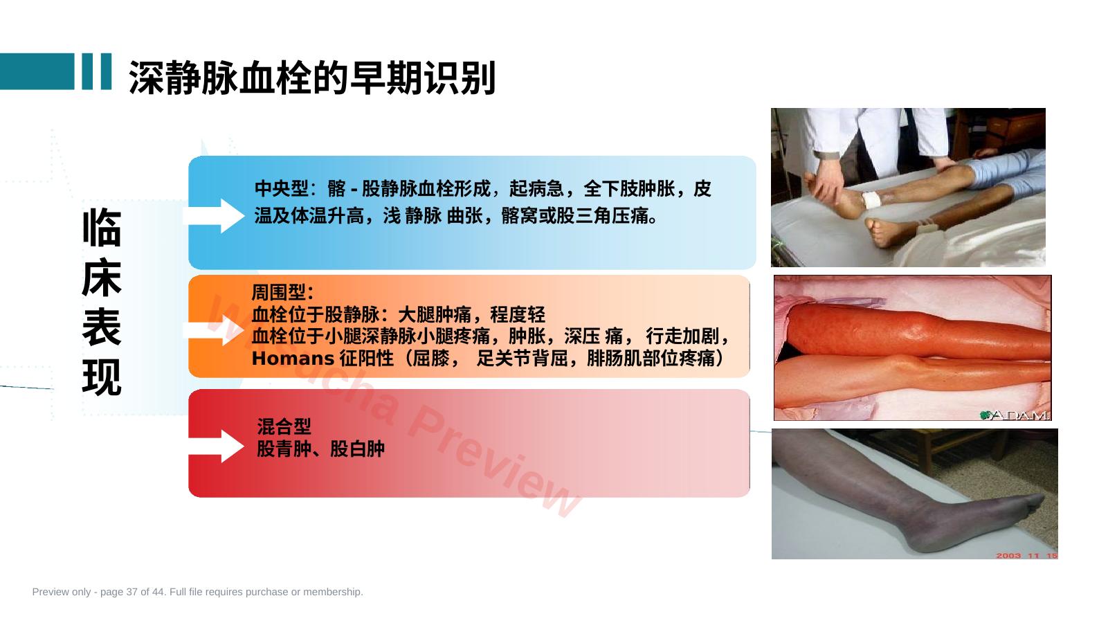 预览第 37 页