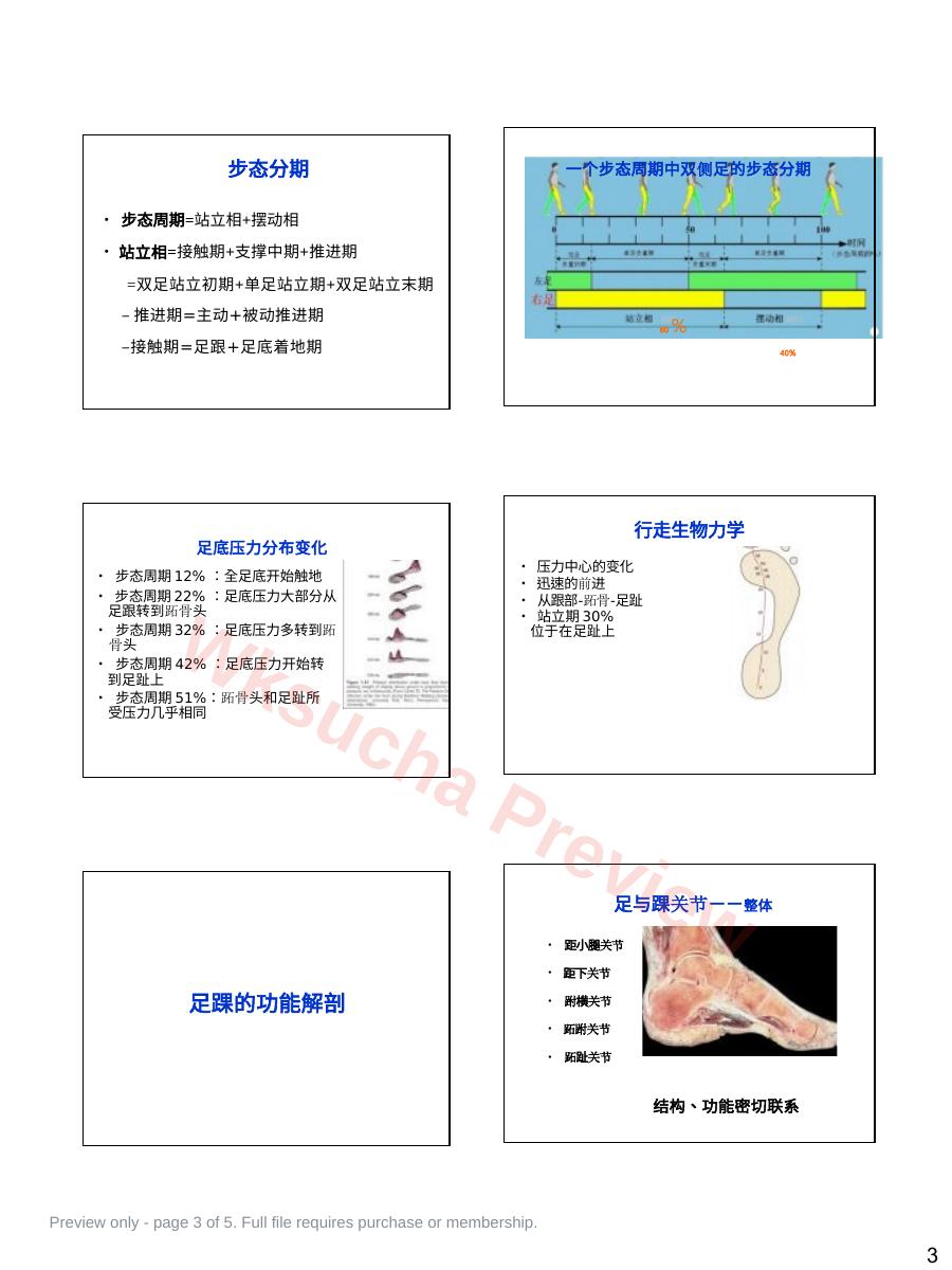 预览第 3 页