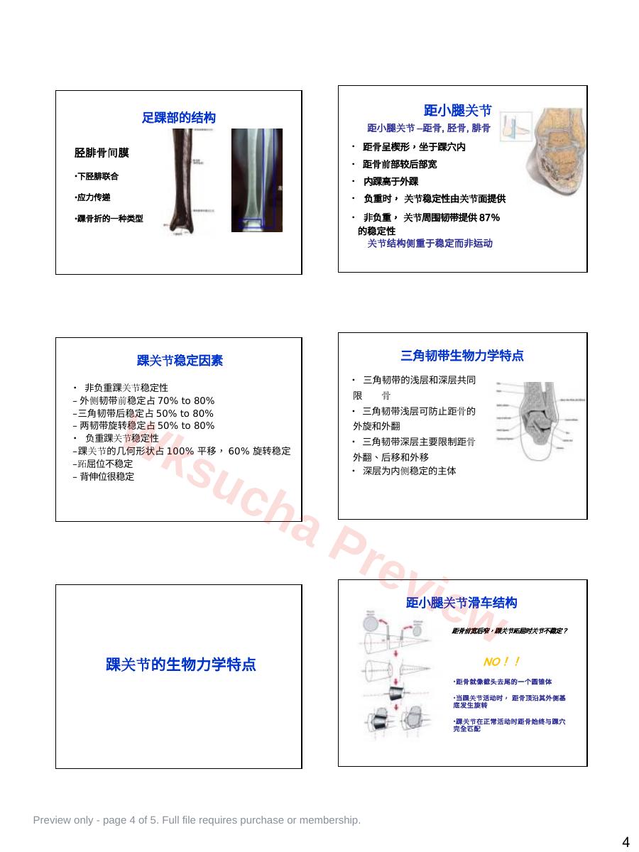预览第 4 页