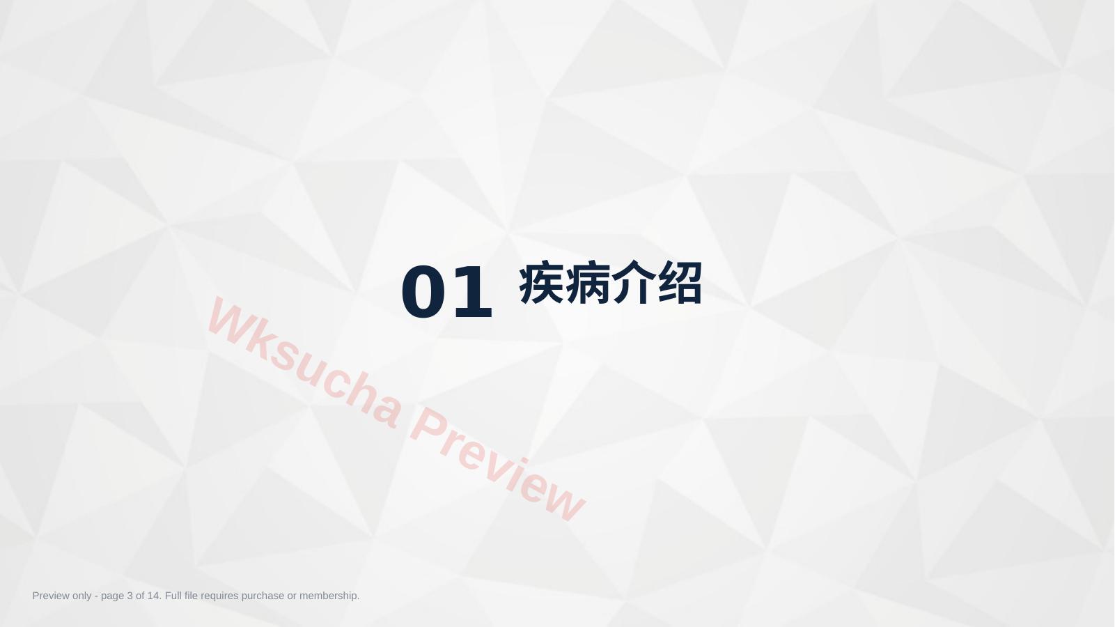 预览第 3 页