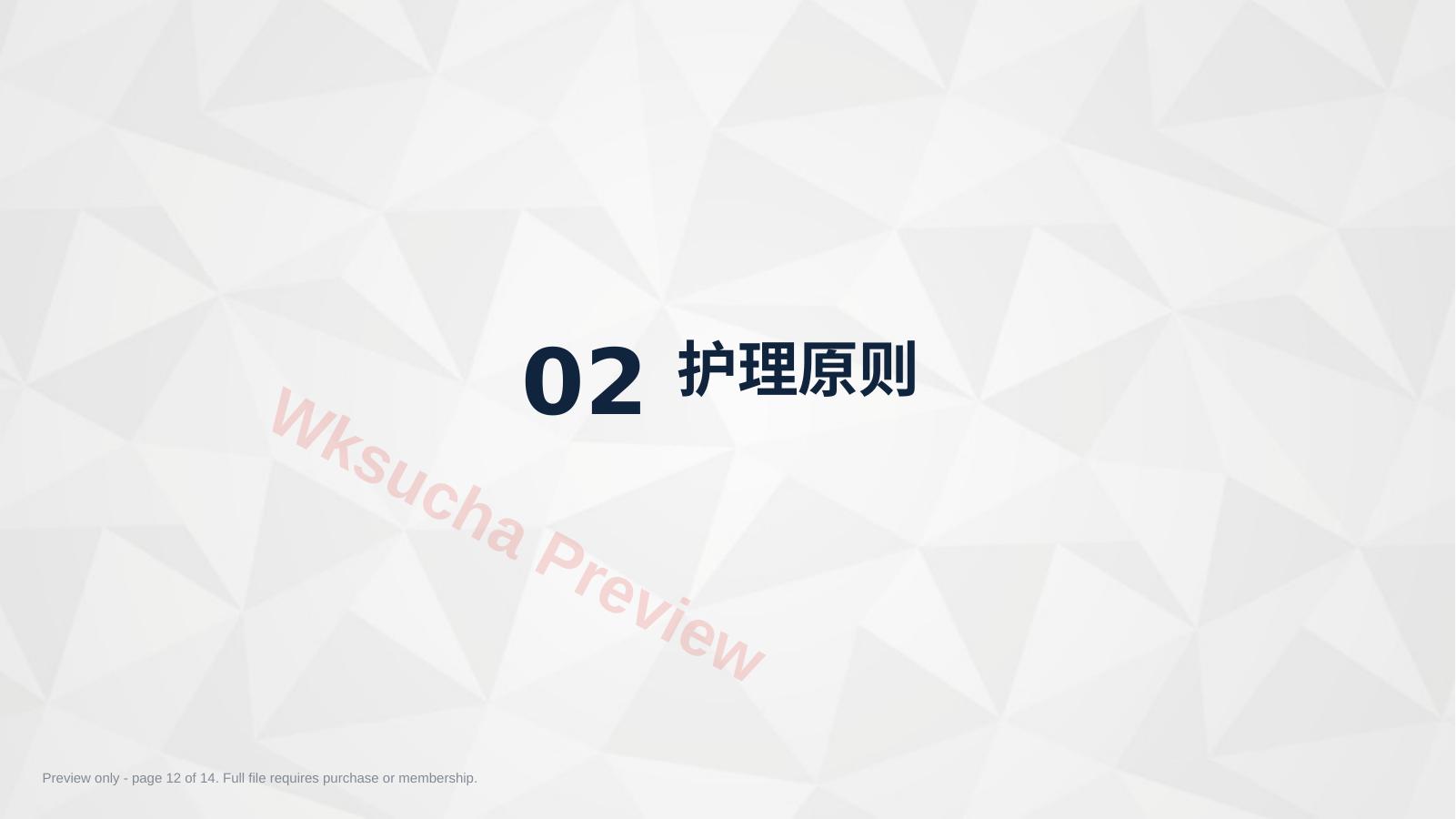 预览第 12 页