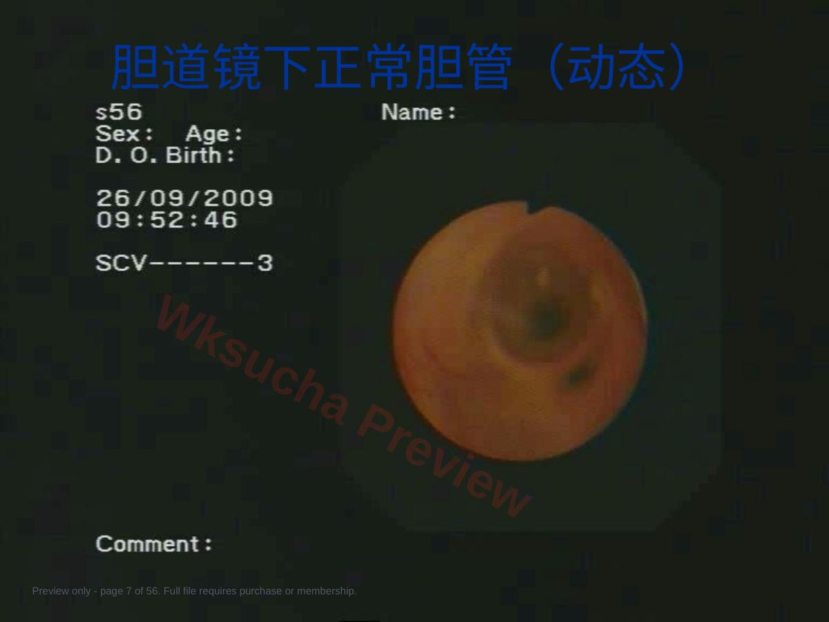 预览第 7 页