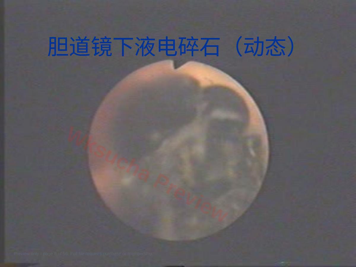 预览第 8 页