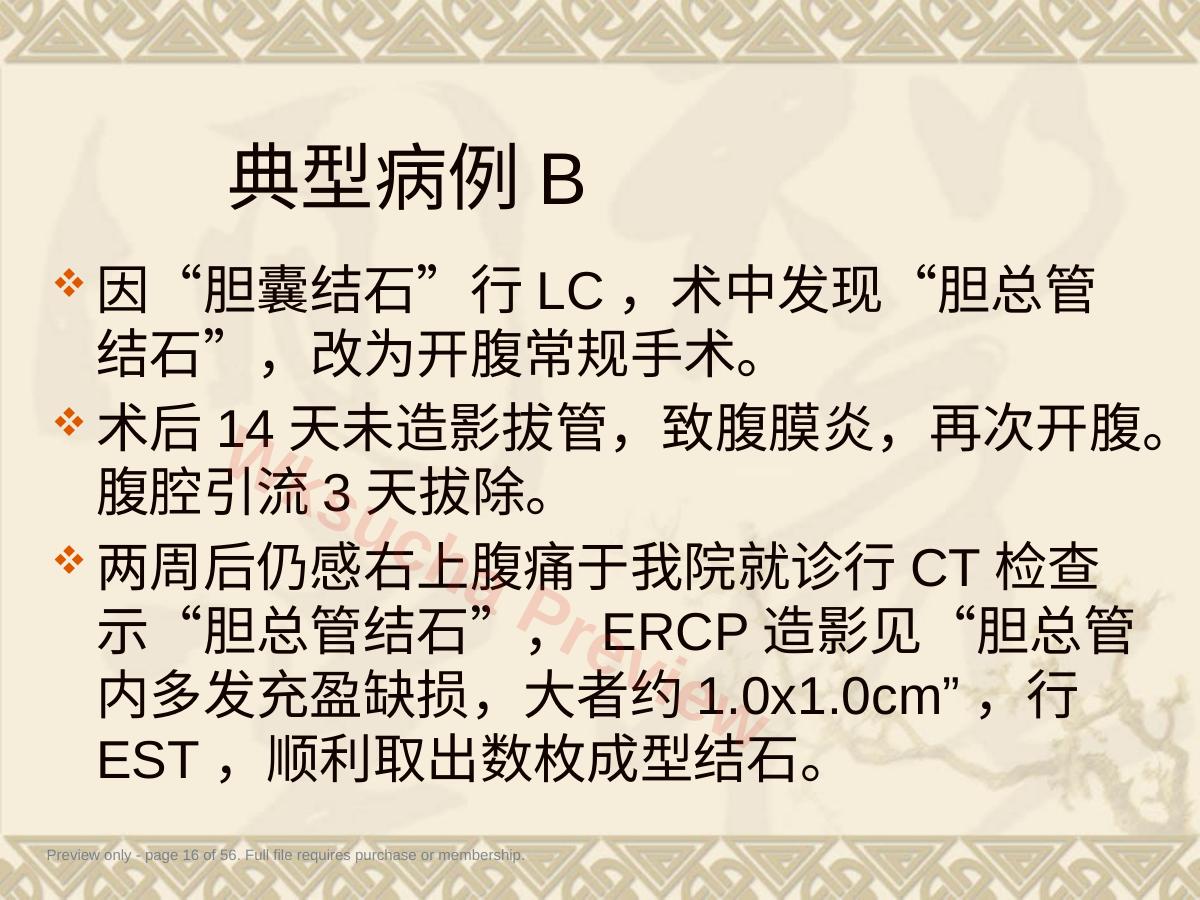 预览第 16 页