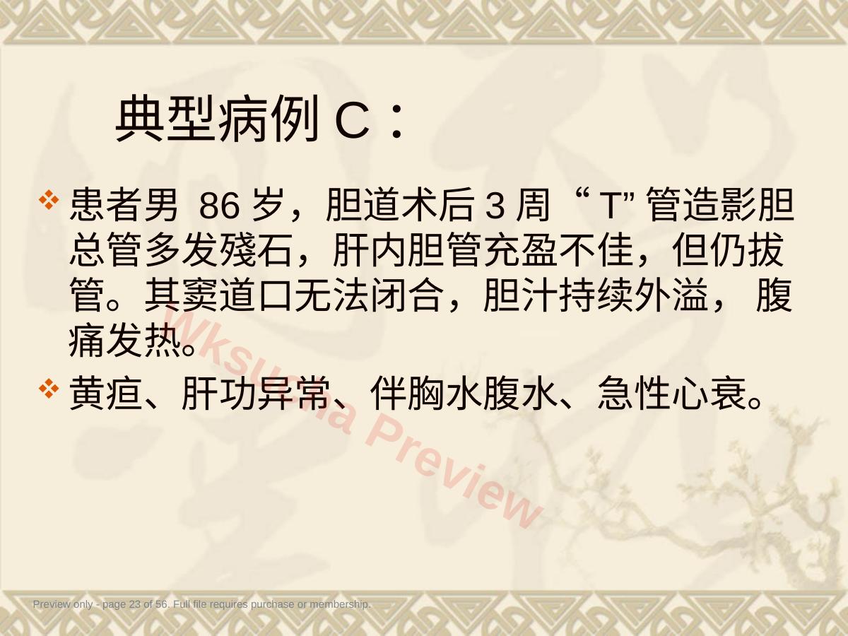 预览第 23 页