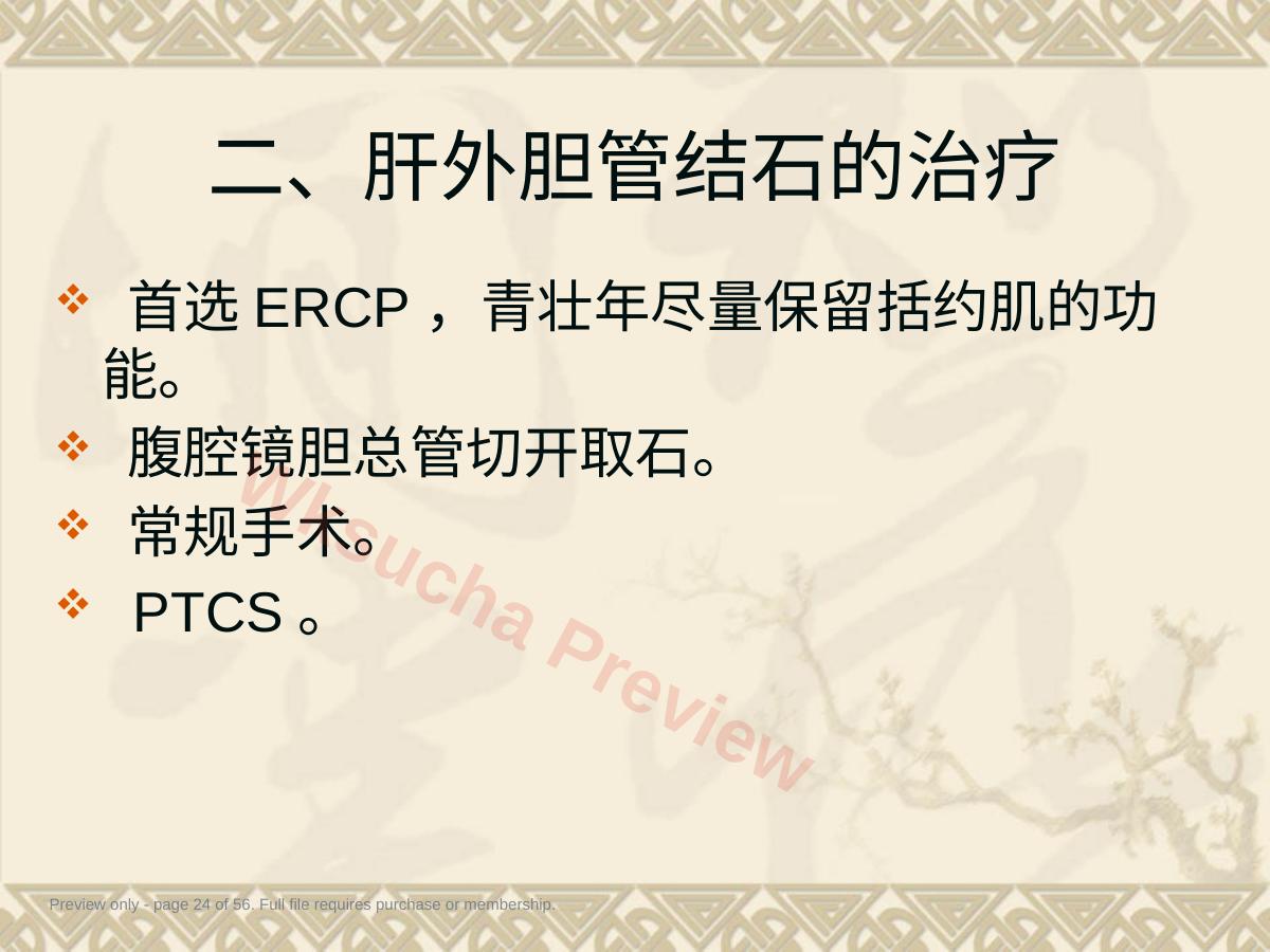 预览第 24 页